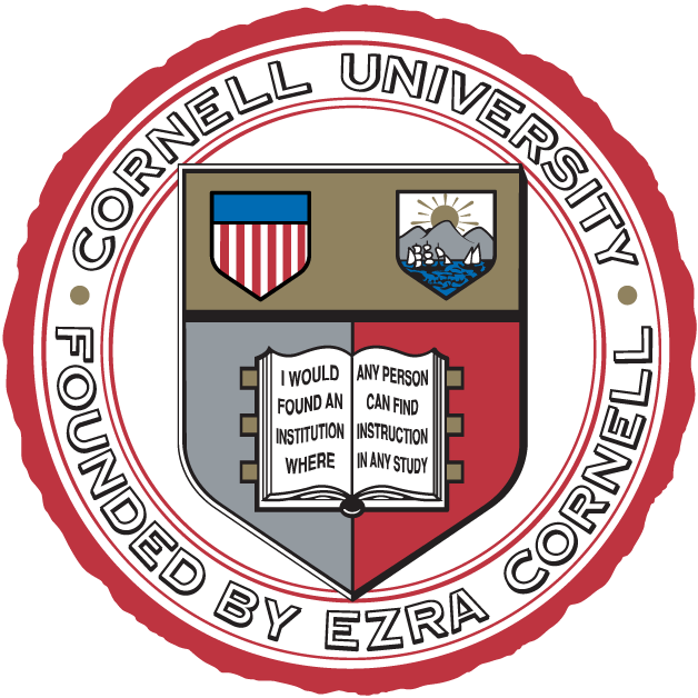 Cornell Big Red 1865-Pres Alternate Logo iron on transfers for T-shirts